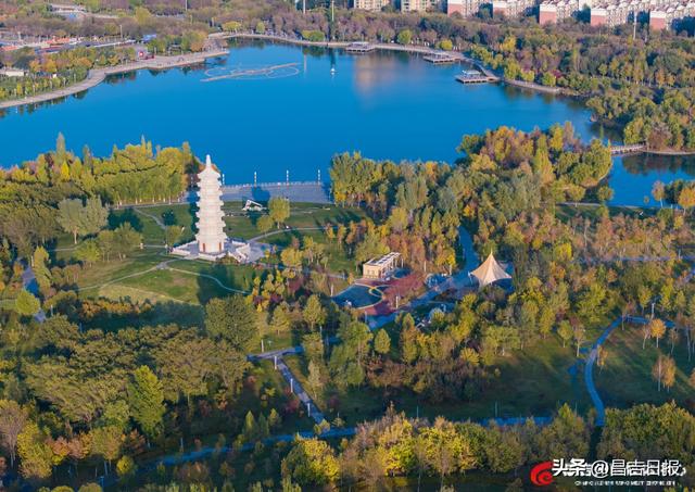 昌吉滨湖河中央公园：邂逅一场秋色绮梦