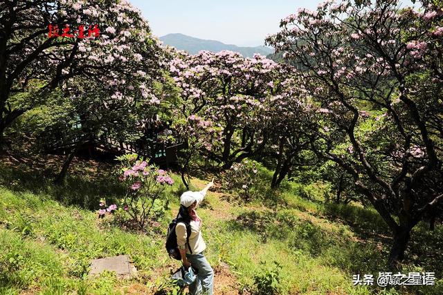 天台山脉精华：石梁镇全域游