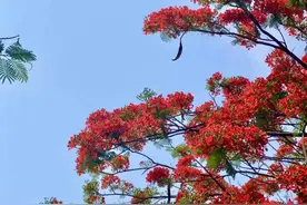 突然降温、下雨、雷电交加！明天最低12℃！听劝，出门带伞图片