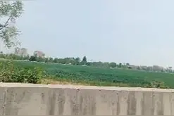 农民种地不容易，为何屡遭非议？探密小麦青储图片