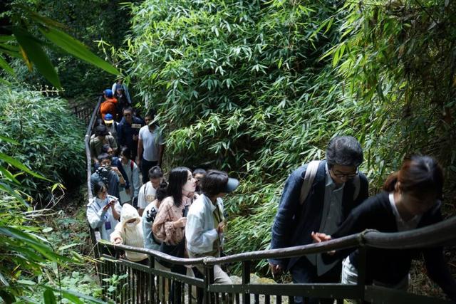 国际青年探秘屏边：品味山水苗韵 守护绿色生态