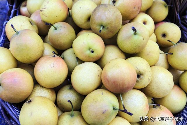 神堂峪冬日老年游攻略：暖阳漫步·轻享山水