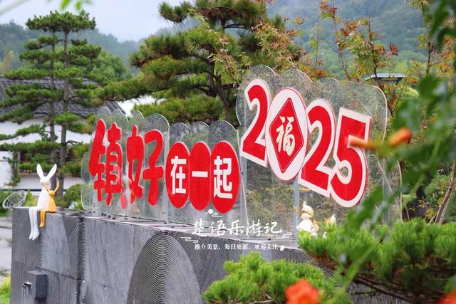 浙江宁波这片花海又火了，烟雨中更有诗画意境，周边民宿也很优美