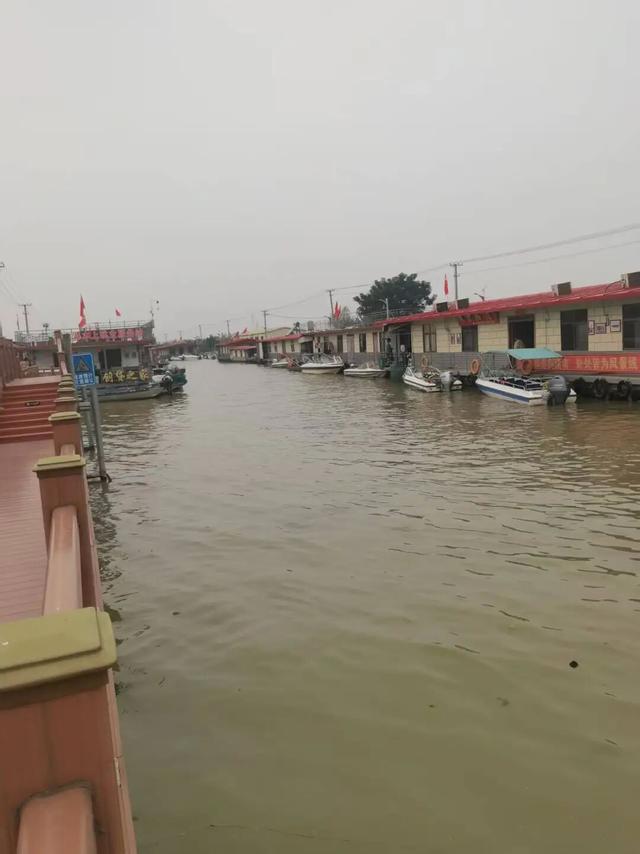 游京杭大运河济宁段（五）| 作者 顾遵亚