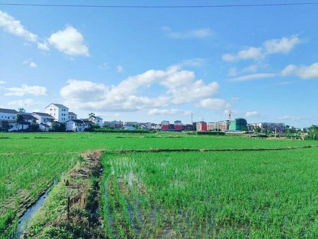 川东花桥镇：广安北大门，三市交界点