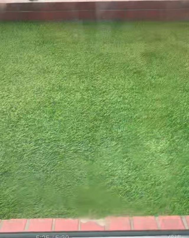 【实测】办公室玻璃门除胶神器！3分钟还你崭新玻璃