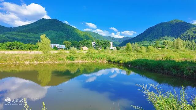 秦州区李子园成为最火爆避暑打卡地,旅游经济迎来新增长点!