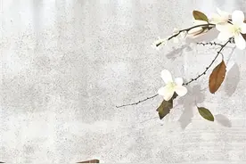 林、沈、顾、陆……言情剧里为何总是这些姓扎堆图片