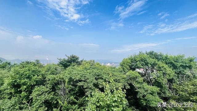 清晨6点的本溪烟火江湖！东北早市的快乐，谁懂啊？