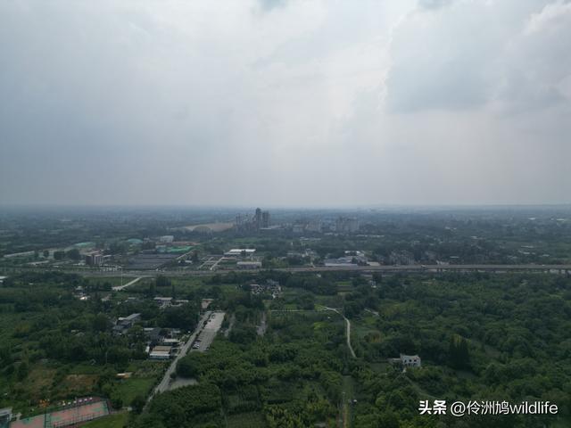 成都徒步（68）·彭州篇⑮佛山古寺&镇国寺宝塔
