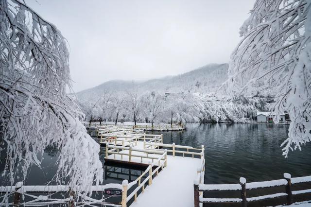 新年第一站,我先冲了!