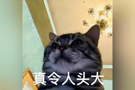 在香港丢失港澳通行证怎么办？还能过关回深圳吗？图片