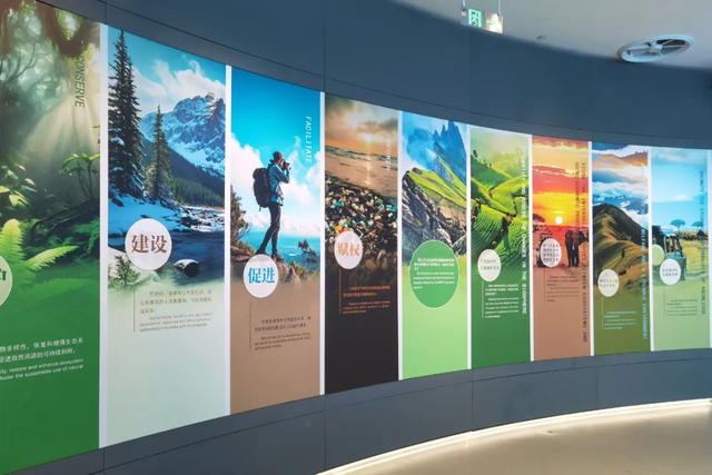 打卡临安新地标！国庆假期解锁自然与科技的奇妙之旅