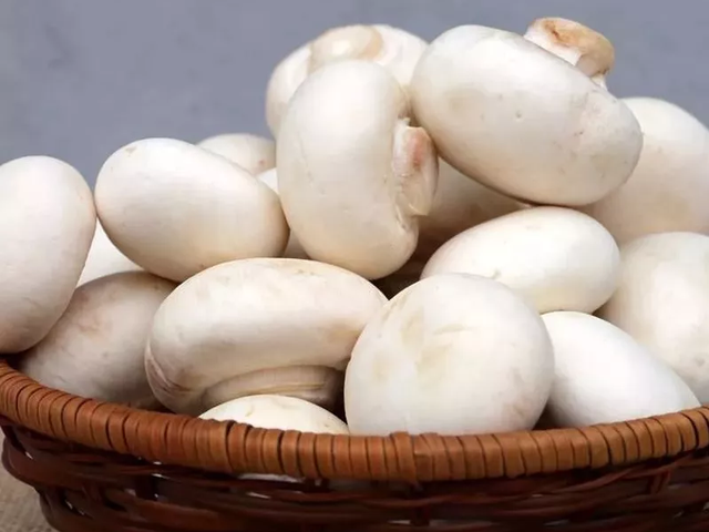 张家口崇礼区：冬奥小城四季漫游指南。欢迎来河北旅游，攻略奉上