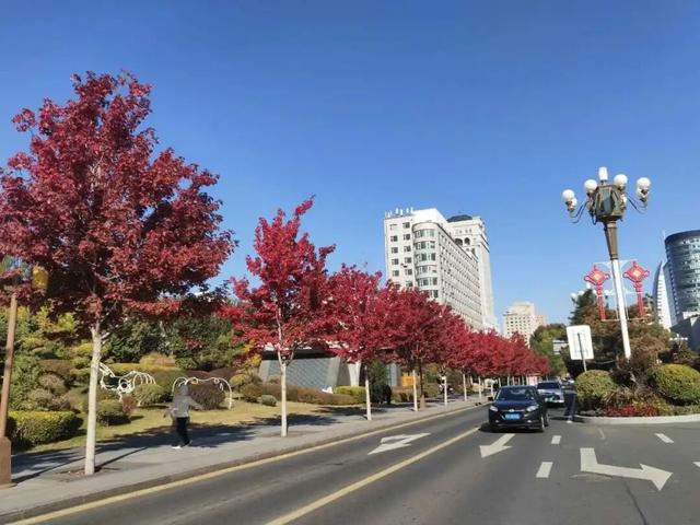 长春“醉”美赏秋攻略：循着落叶的轨迹，邂逅斑斓盛装