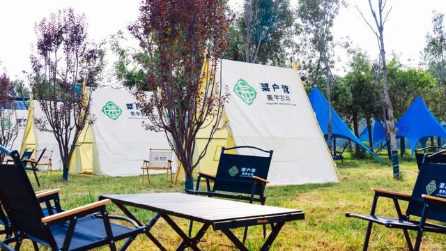 丰彩城市艺术季｜从皇家菜园到美学农场！菜户营在艺术田园里织就新童话