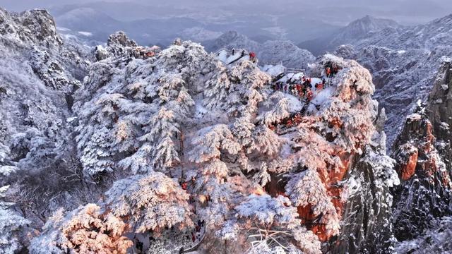 黄山冬日美景“开挂”雾凇、佛光、云海、日出日落出镜，美到失语
