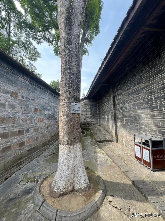 大地主刘文彩的老公馆