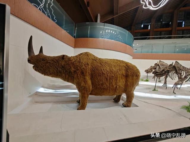 东北避暑游长白山站 山上雨大雾大人发抖 天池就是一个美丽的传说