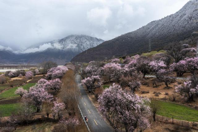 2-3月适合去哪里旅行，这6个地方，赴一场春日之约，看看好春光