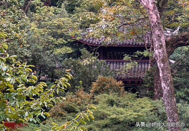 杭州“绝美秋景”正式上线，桂花与人文相映成趣，来一趟，很治愈