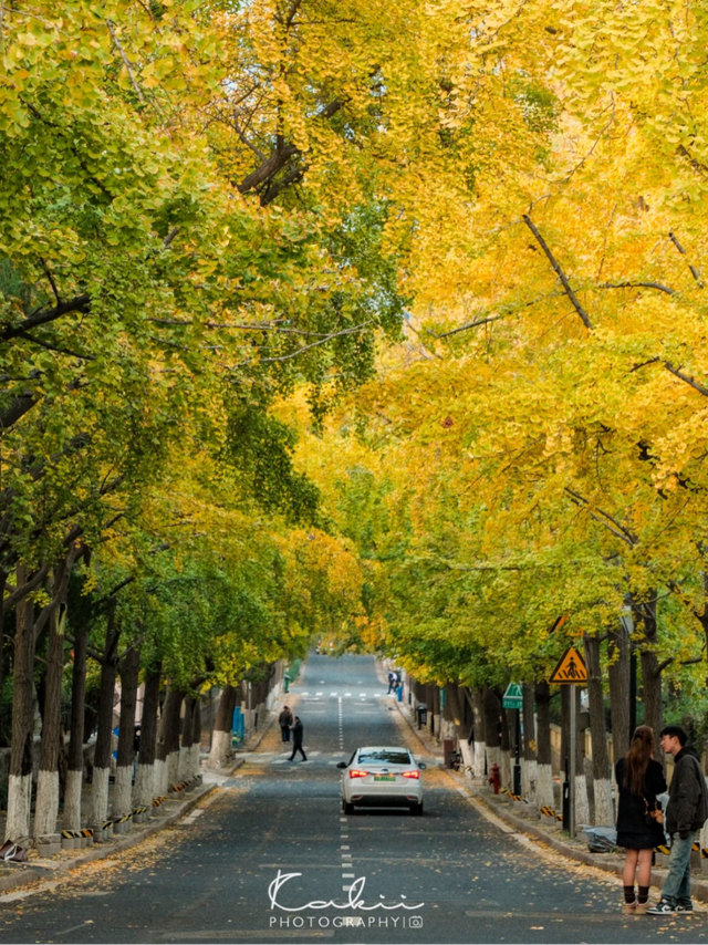 市南的2026，应该这样过...