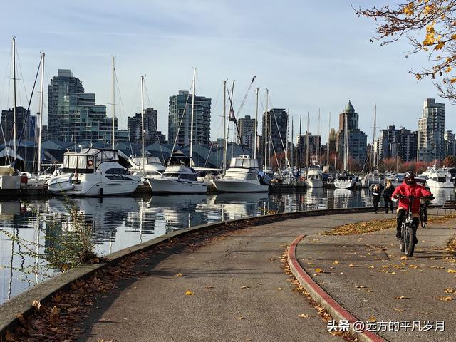 温哥华游记（四）