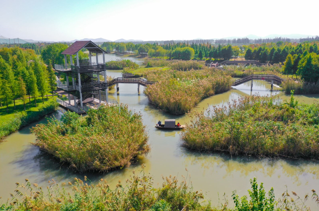 除了跑，还能吃和玩
