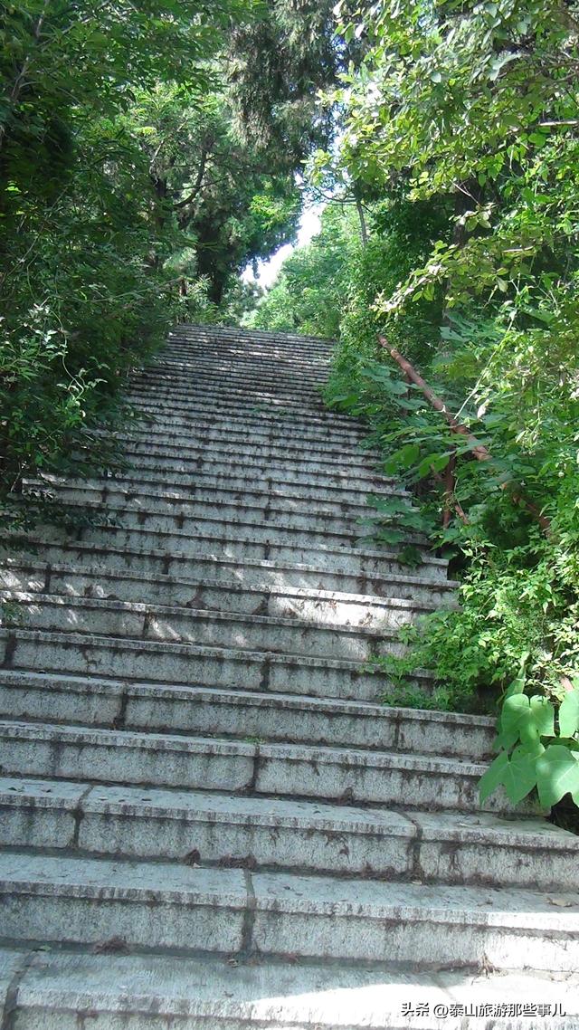 泰安：城西隐藏一处宝藏胜地，一个“天梯”，惊险堪比泰山十八盘