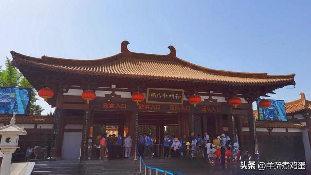 做几天洛阳人——游河南洛阳赏牡丹芬芳 总体概述（四）