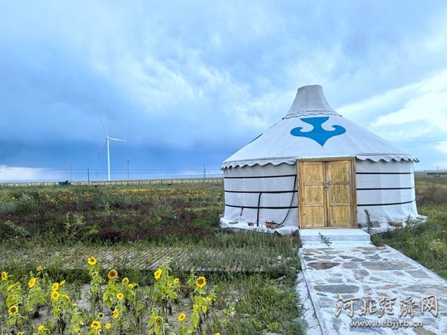 张家口察汗淖尔湿地再现“红海滩”美景
