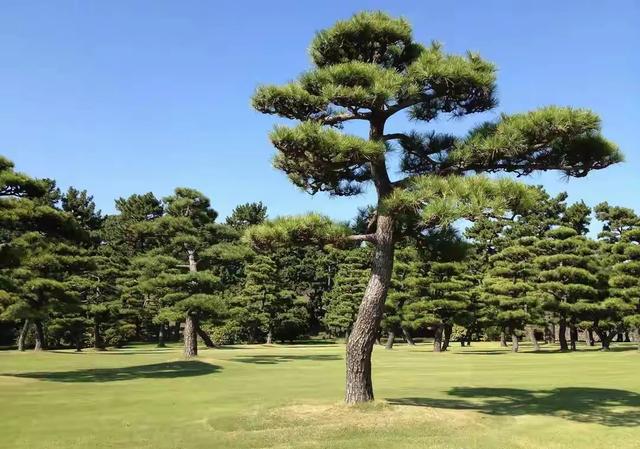两性关系：男人过65岁，基本上都会有如下现状，具体表现是这样的