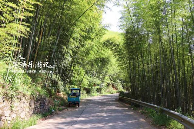 浙江宁波的竹林双古道，被誉为治愈系徒步胜地，景色宜人值得游玩
