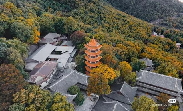 比大理浪漫！比昆明更近！高铁直达阳光小城，2万株蓝花楹美疯！观海登山，美食吃到爽！