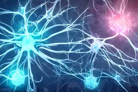 损伤的神经可以自我修复吗？如果有这4种反应说明很有可能！图片