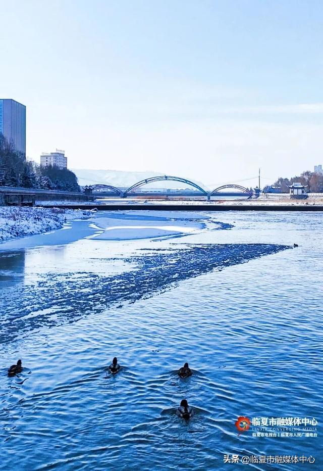冬天就要有冬天的样子，不去一次临夏怎么知道冬天的美？