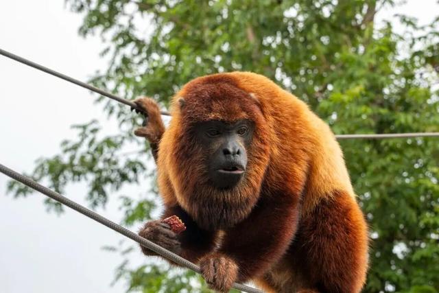 “你怎么知道王嘉尔来我家门口啦？”
