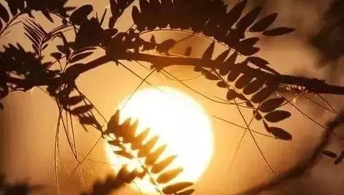 五十岁以后，不管你有多少存款，千万别做这5件糊涂事！