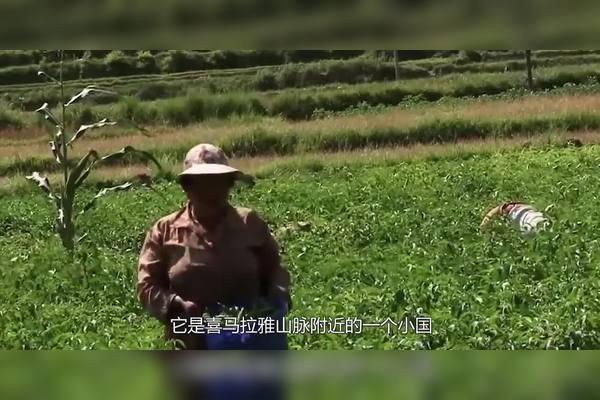 亚洲最穷的国家不丹：如果拿10元人民币，在不丹集市能买什么？