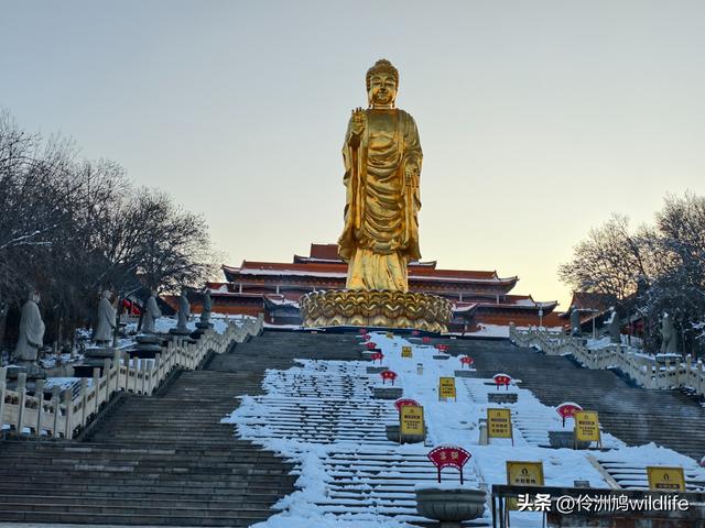 新疆乌鲁木齐红光山大佛寺