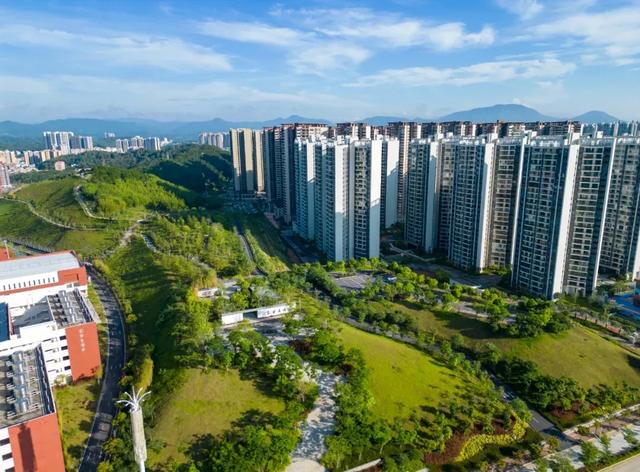 12月20日，欢乐开走！茂名徒步5条线路，你中意哪条？