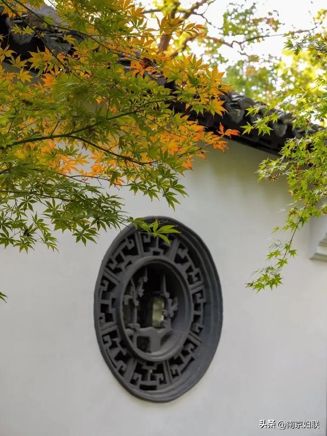 南京这些“魔法之窗”，怎么拍都出片！
