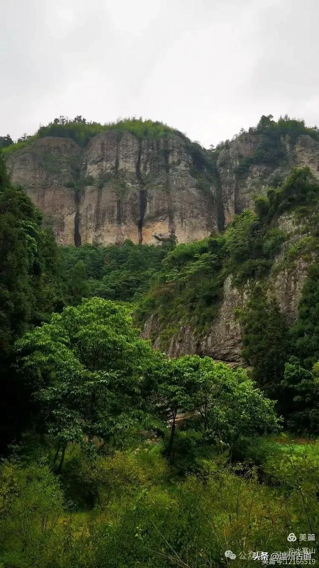 这座温州最具桃源的古村，避暑佳地，你可去过？