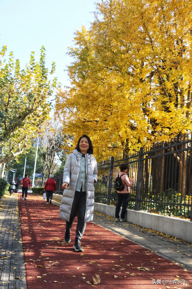 散文丨古银杏树下