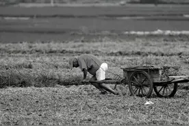 看了路遥的手稿才懂：穷人拼尽一生，其实只为挣脱3道枷锁图片