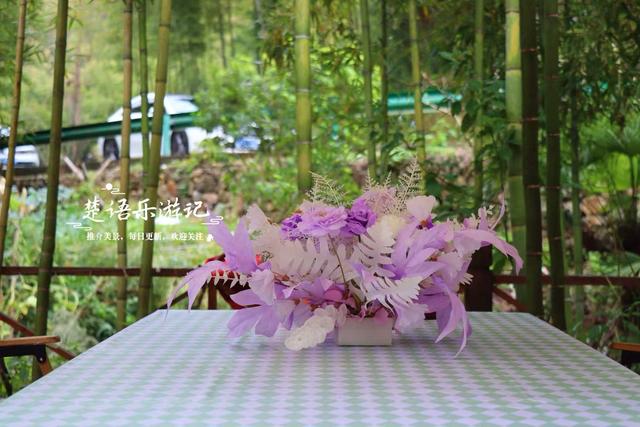 宁波奉化这个山岙藏着3家美宿，个个都很有艺术氛围，适合休闲游