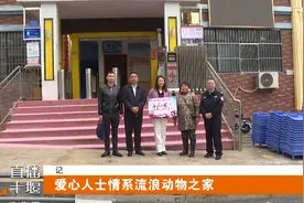 十堰爱心人士情系流浪动物，捐赠120余张“爱心床”图片