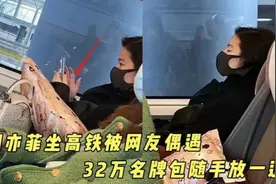 刘亦菲高铁熟睡被偷拍，皮肤泛红山根突出，32万包包随意放置？图片