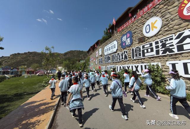 桥西：青砖黛瓦间的“行走课堂”