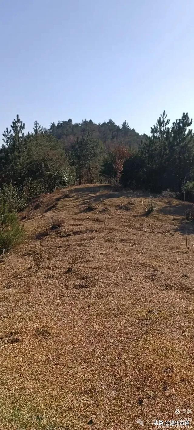探秘楠溪江源头!这条海拔千米以上的草甸山脊只有极少数驴友知道